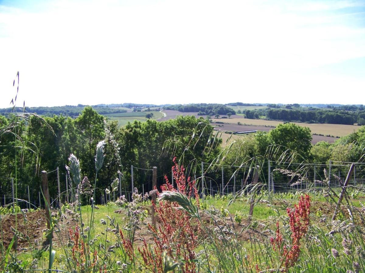 Gîte, jacuzzi&vin au grenier de Madiran Exterior foto